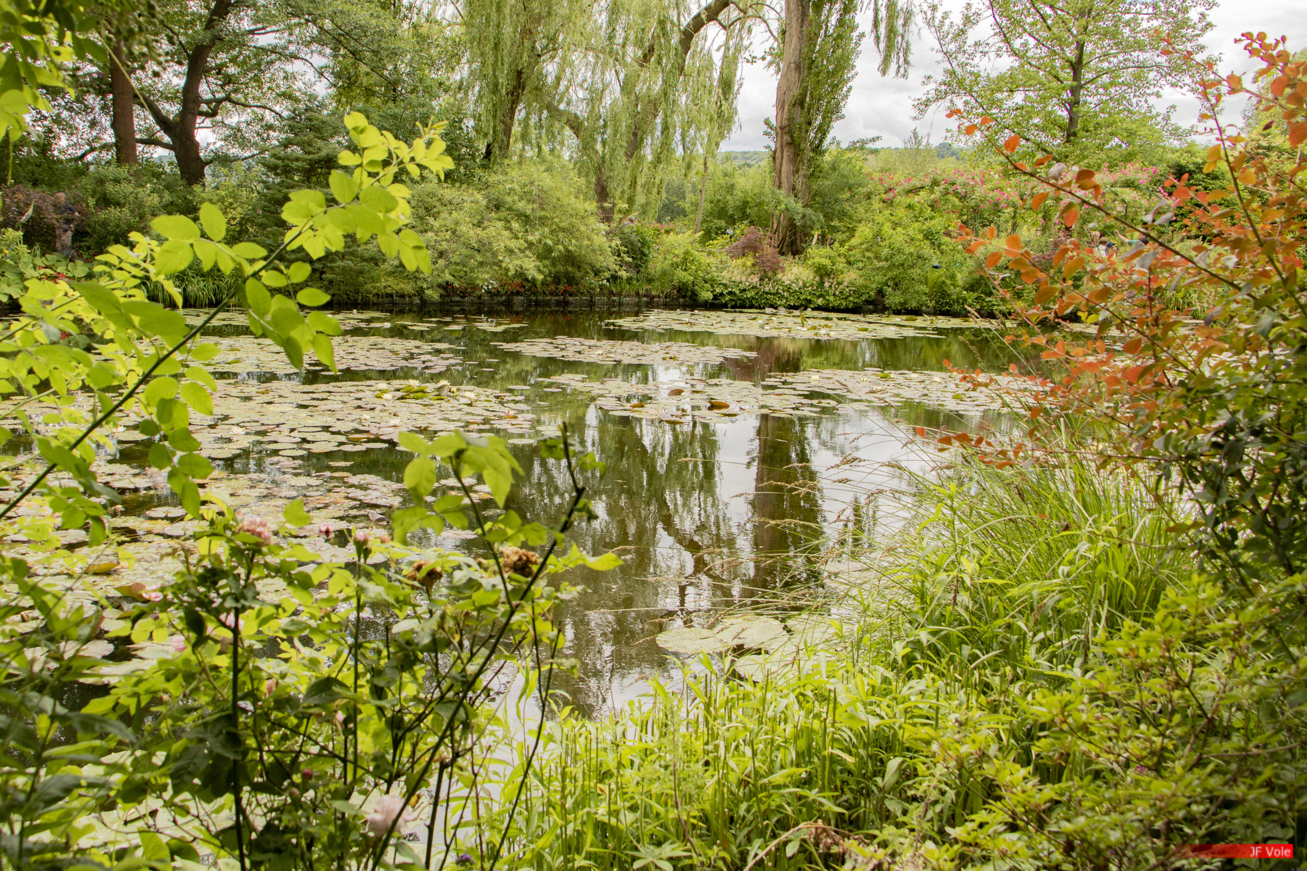 Jardin de Claude Monet, Giverny, juin 2019.
